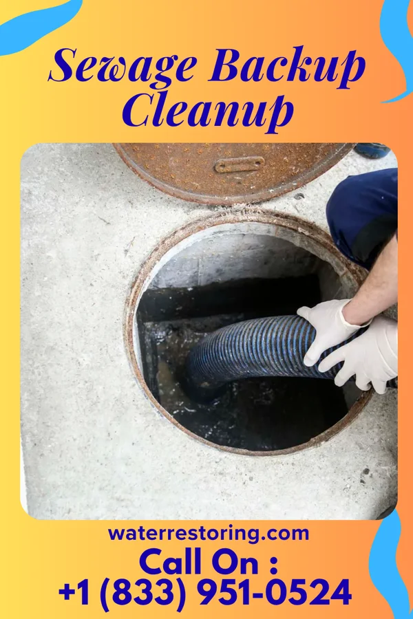 Sewage Backup Cleanup in Live Oak, FL